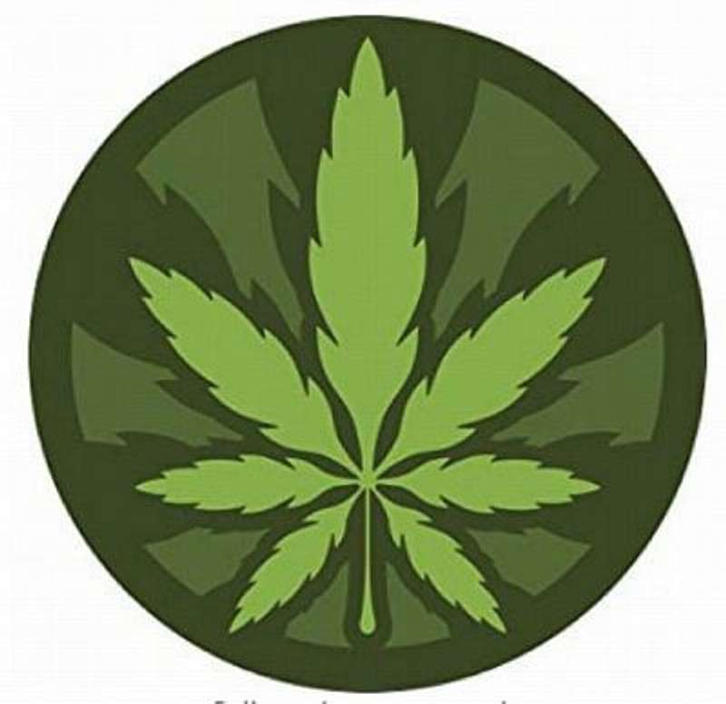 ROUND POT LEAF COLOR STICKER
