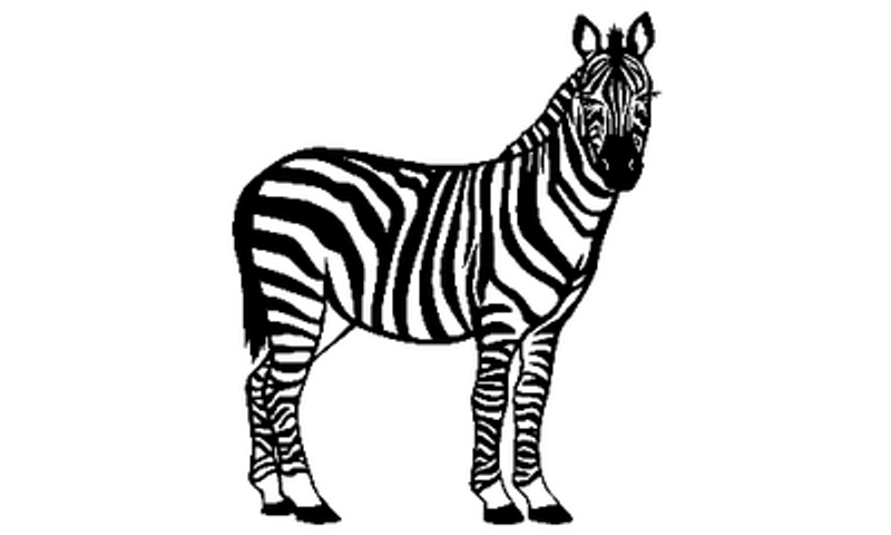 Zebra Decal 022