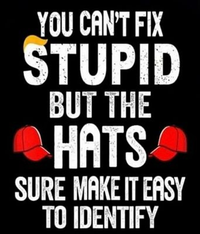 cant fix stupid maga hat sticker
