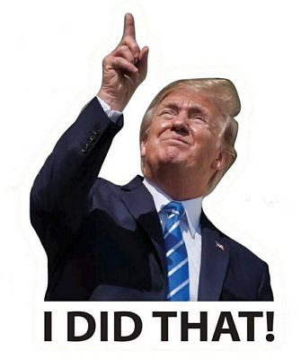 I DID THAT TRUMPFLATION POLITICAL STICKER