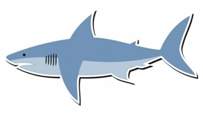 shark sticker 4