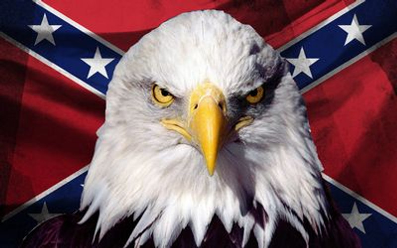 southern pride eagle and battle flag sticker