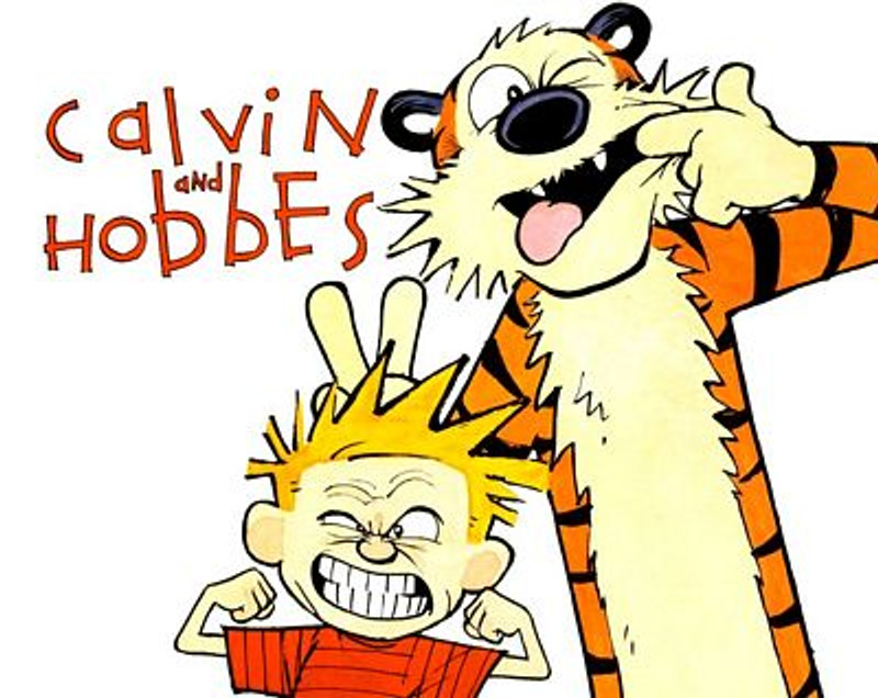 Calvin and Hobbes Rectangular Color Stickers 03