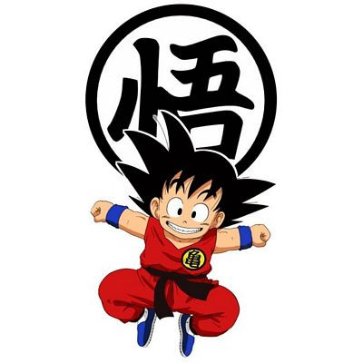 dragon ballz LOGO sticker