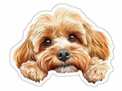 Cockapoo Sticker Peeking Dog Waterproof Vinyl Sticker