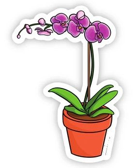 Orchid plant flower sticker