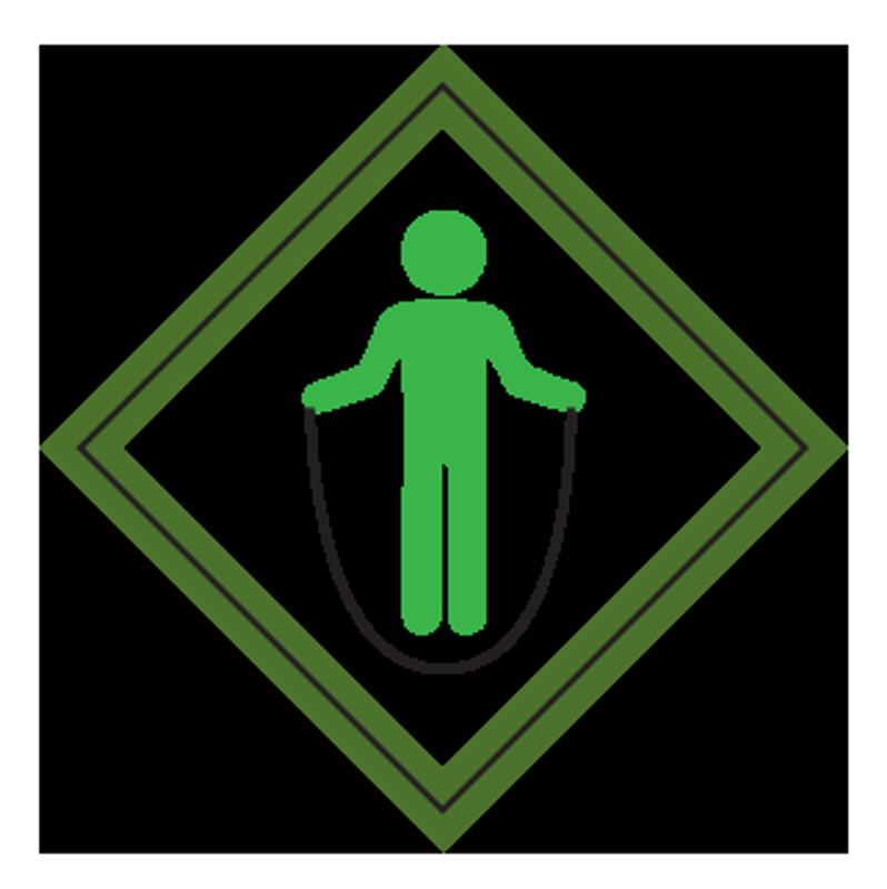 Webelos Stronger Faster Higher