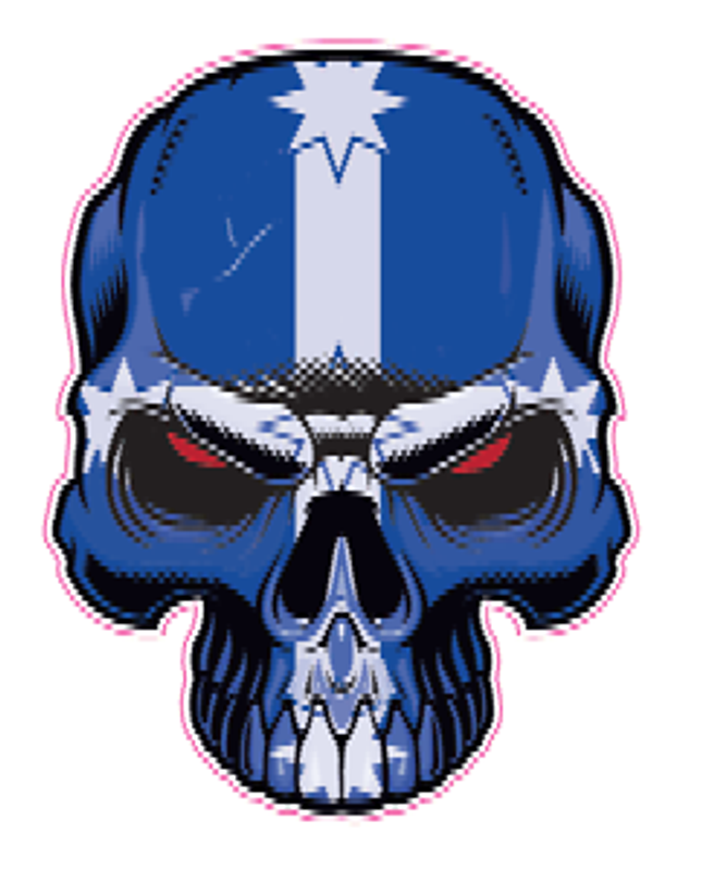 AUSTRSALIA AUSSIE REBEL EURIKA SKULL STICKER 2 AUSTRSALIA AUSSIE REBEL EURIKA SKULL STICKER 2