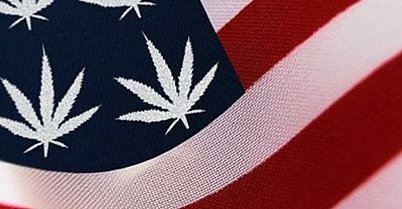 In Weed We Trust USA Flag  Design Sticker In Weed We Trust USA Flag  Design Sticker
