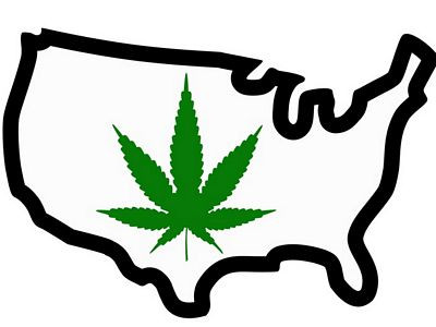 legalize weed USA Sticker