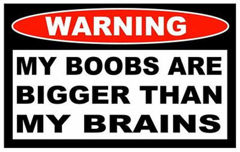 Boobs Bigger Brains Funny Warning Sticker Set