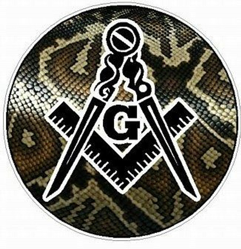 MASON FILLS Skin Snake