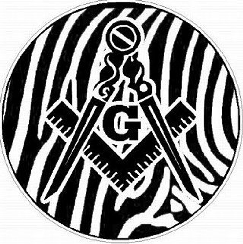 MASON FILLS Skin Zebra