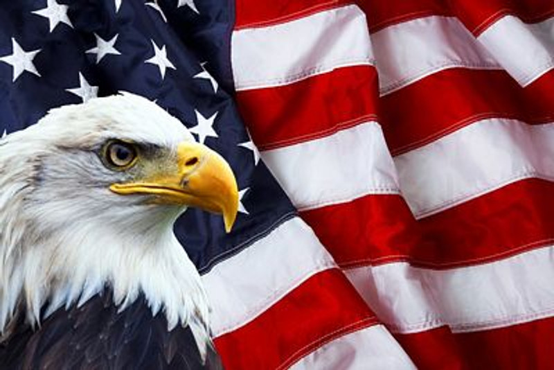 American Flag and bald eagle STICKER 4 American Flag and bald eagle STICKER 4