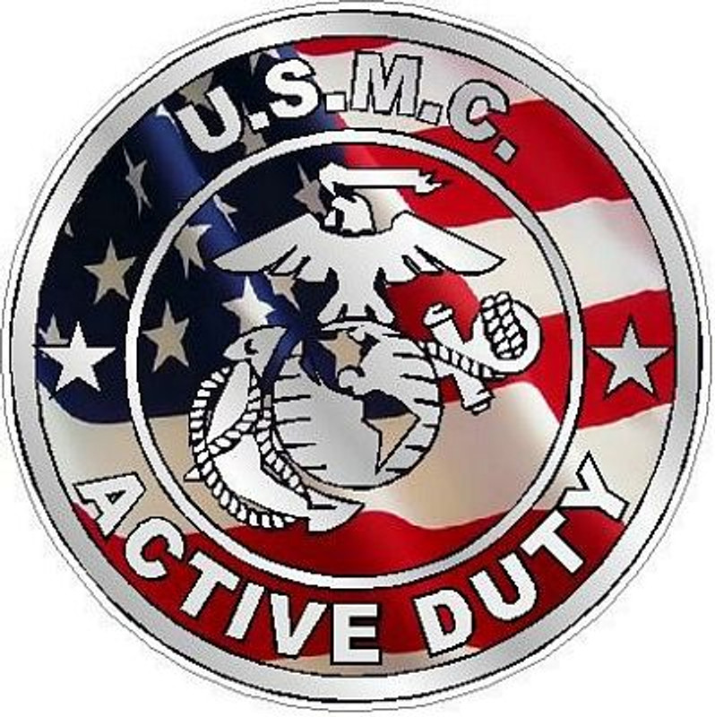 ACTIVE DUTY MILITARY FILLS flag USA ACTIVE DUTY MILITARY FILLS flag USA