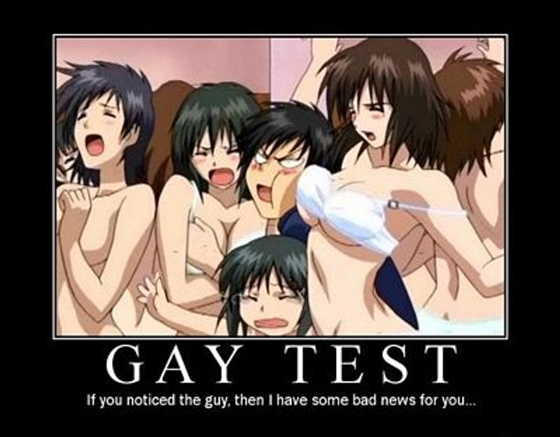 Gay Test Sticker Gay Test Sticker