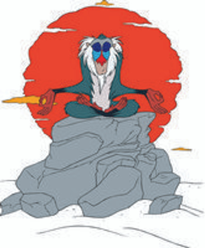 Rafiki 06