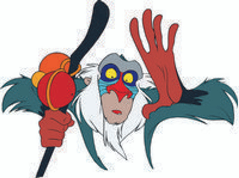 Rafiki 07
