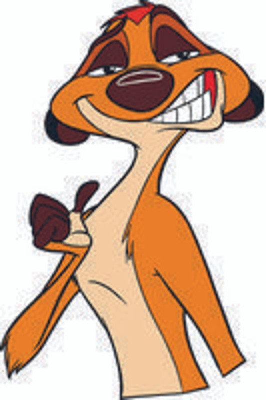TIMON 11