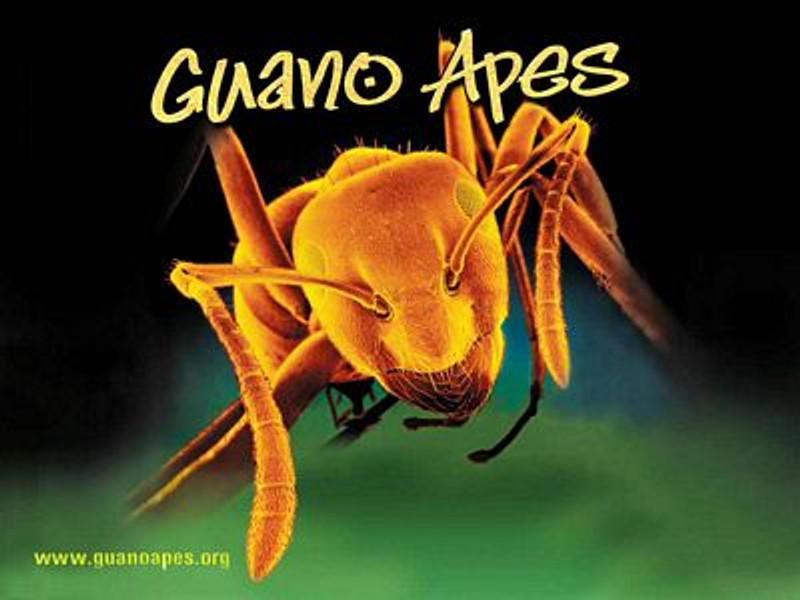 Guano Apes Color Band Sticker