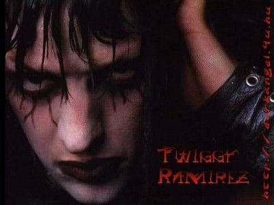 Twiggy Ramirez Color Band Decal