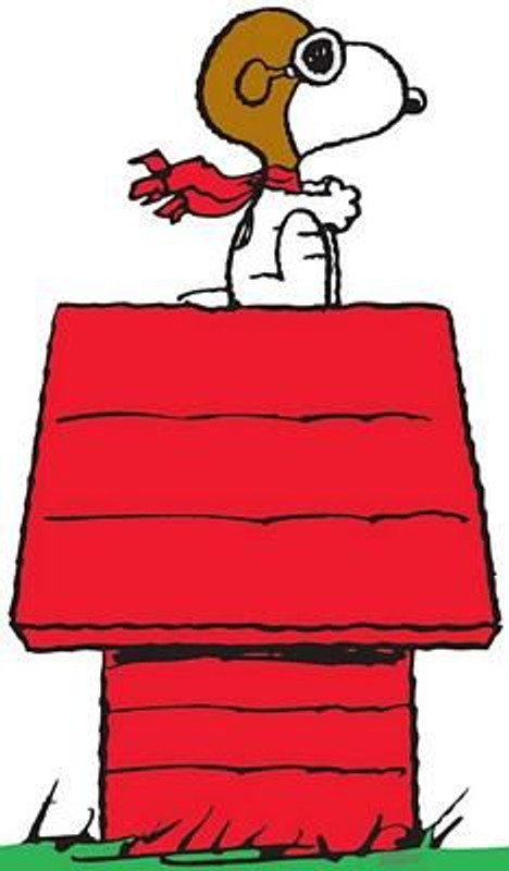 Snoopy Ace Color Sticker Decal