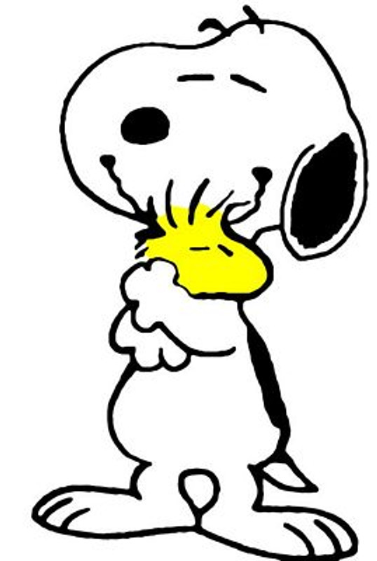 SNOOPY and Woodstock Peanust Gang Sticker 11