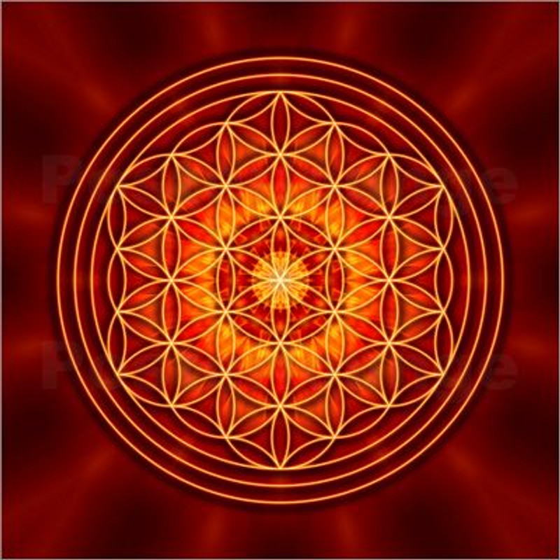 YOGA Flower of Life Color Sticker