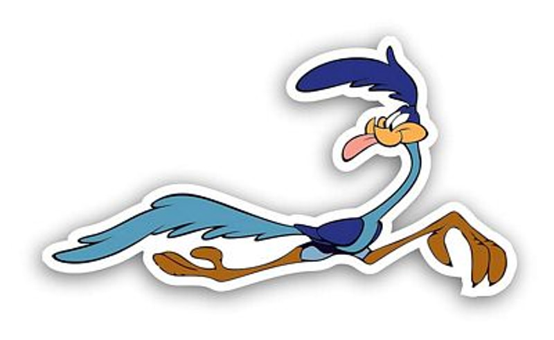 ROAD RUNNER TOUNG OUT STICKER 33