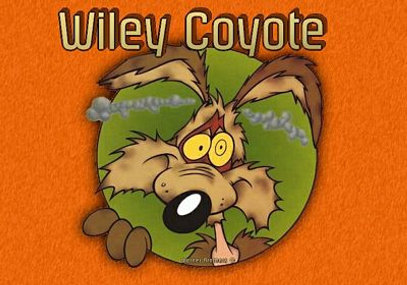 Wiley Coyote Color Rectangular Adhesive Vinyl Decal Sticker