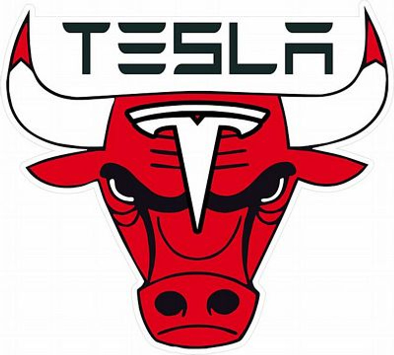 TESLA BULL COLOR TESLA STICKER