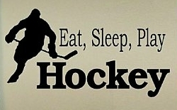 EAT SLEEP PLAY DECALS
