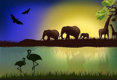 African Animal Stickers COLOR 1