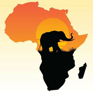 African Animal Stickers COLOR 5