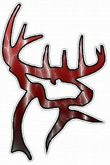 BC Deer - Lightning Red