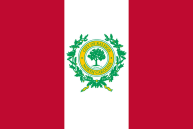 North Carolina Raleigh City Flag Decal