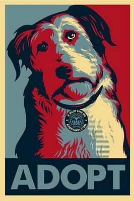 Adopt Sticker 2