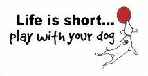 Play With Your Dog Sticker
