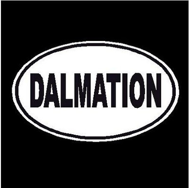 Dalmation Oval Dog Decal