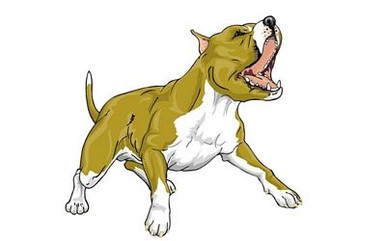 Pitbull Graphics 3