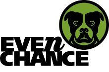Pitbull Graphics 6