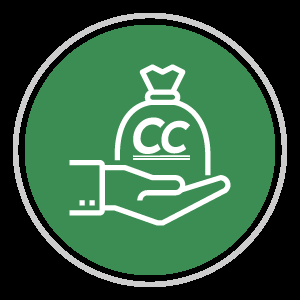 crush crypto Coin