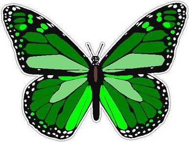 butterfly sticker  GREEN color
