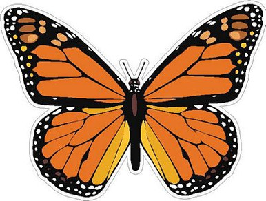 butterfly sticker MONARCH color