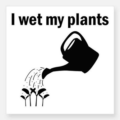 i wet my plants square sticker