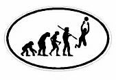Evolution Sport Stickers VOLLYBALL - OVAL W