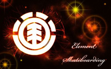 Element Logo  Skateboard sticker