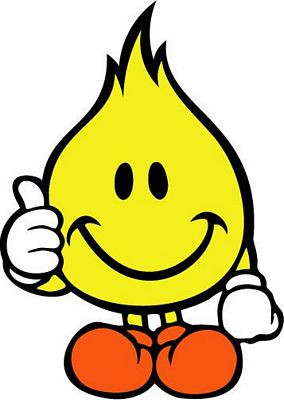 World Industries Flame boy