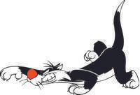 Sylvester 02
