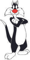 Sylvester 5